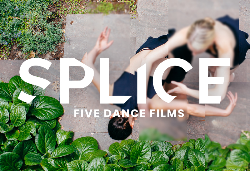 Splice: 5 Dance Films