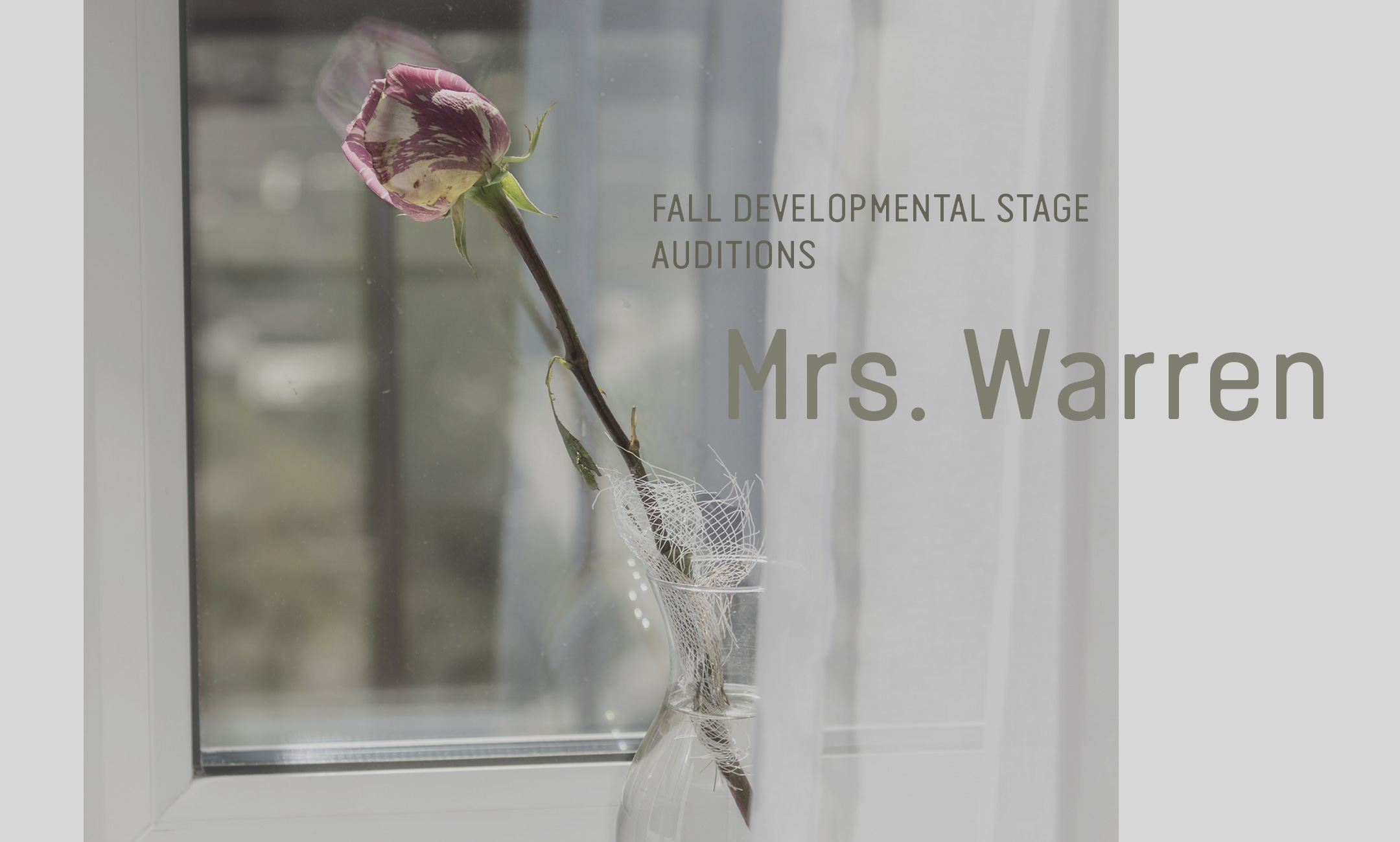 Fall Developmental Stage Auditions: Mrs. Warren | Single rose on window sill obscured by sheer curtain | Learn More
