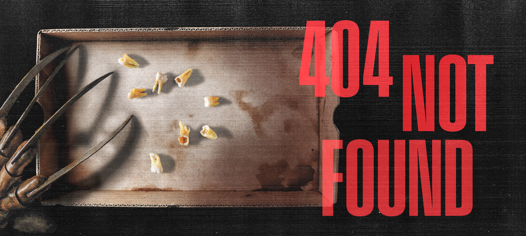404 Not Found
